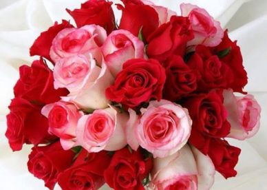 صور باقات ورد أحمر Red And White Roses Bouquet - صور ورد وزهور Rose Flower images